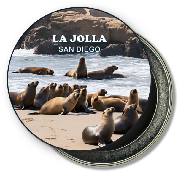 La Jolla San Diego Fridge Magnet - Sea Lions