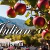 Julian California Postcards - Apple Tree and Country View